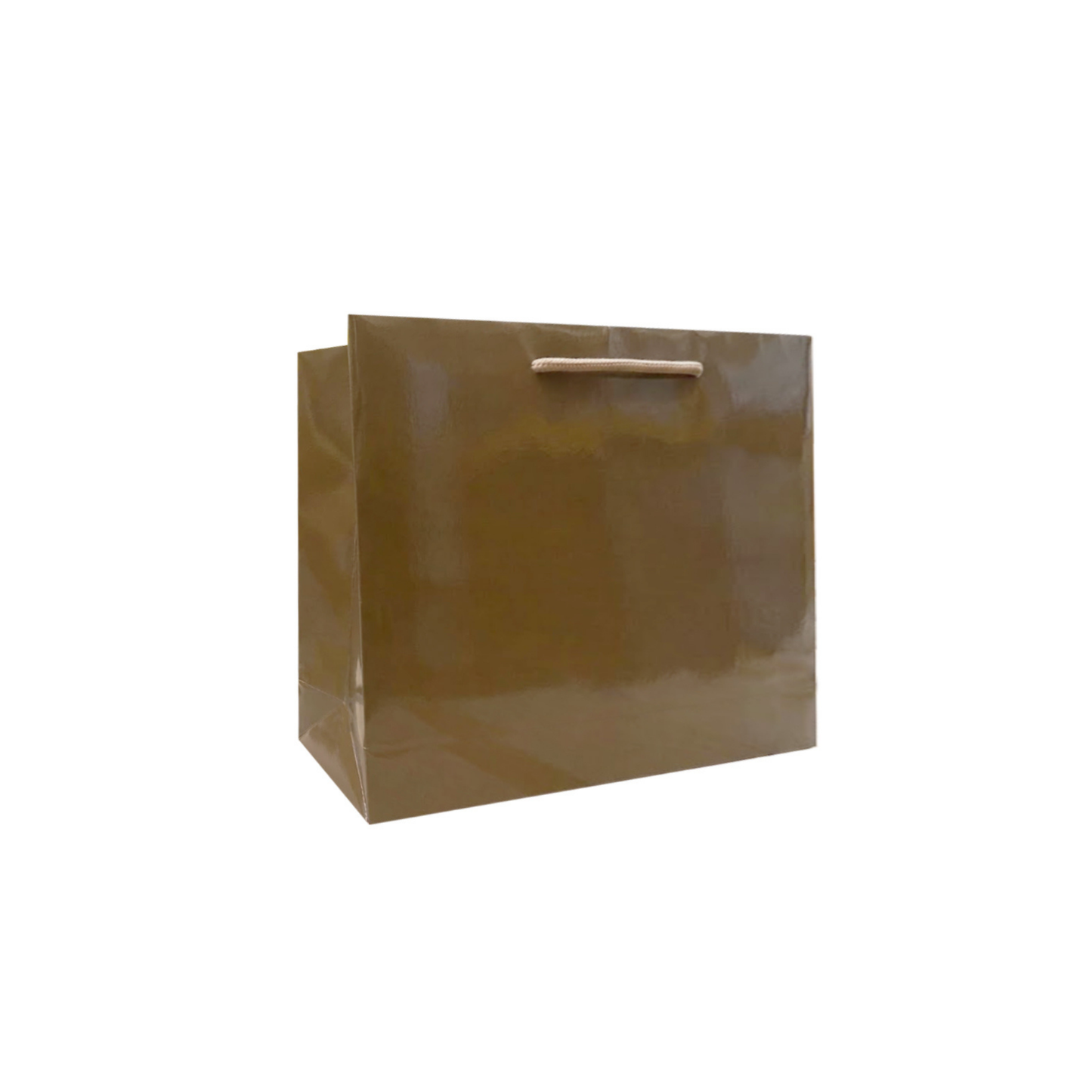 Lux Glossy in carta plastificata lucida con manico in cotone