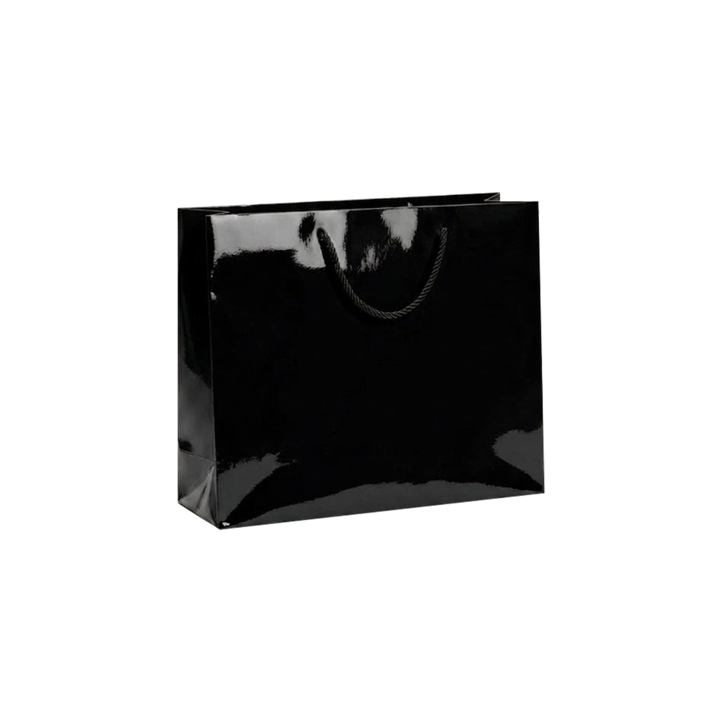 Lux Glossy in carta plastificata lucida con manico in cotone