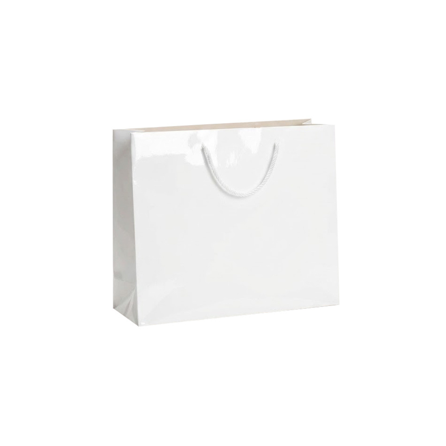 Lux Glossy in carta plastificata lucida con manico in cotone